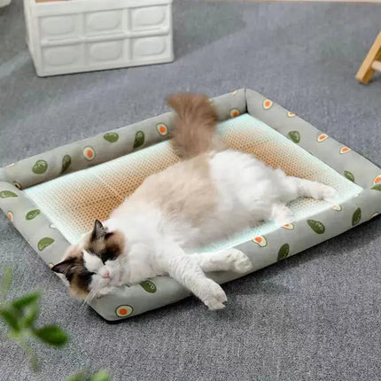 Tapis Décontracté pour Chat avec Bord Avocat et Surface Naturelle