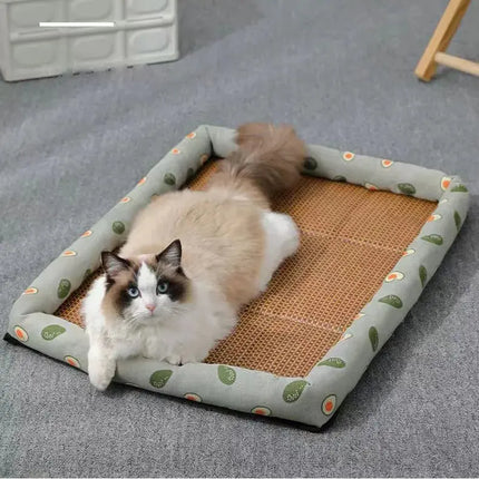 Tapis Décontracté pour Chat avec Bord Avocat et Surface Naturelle