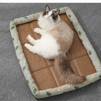 Tapis Décontracté pour Chat avec Bord Avocat et Surface Naturelle