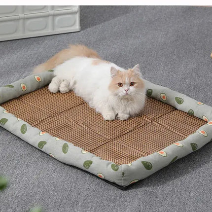 Tapis Décontracté pour Chat avec Bord Avocat et Surface Naturelle