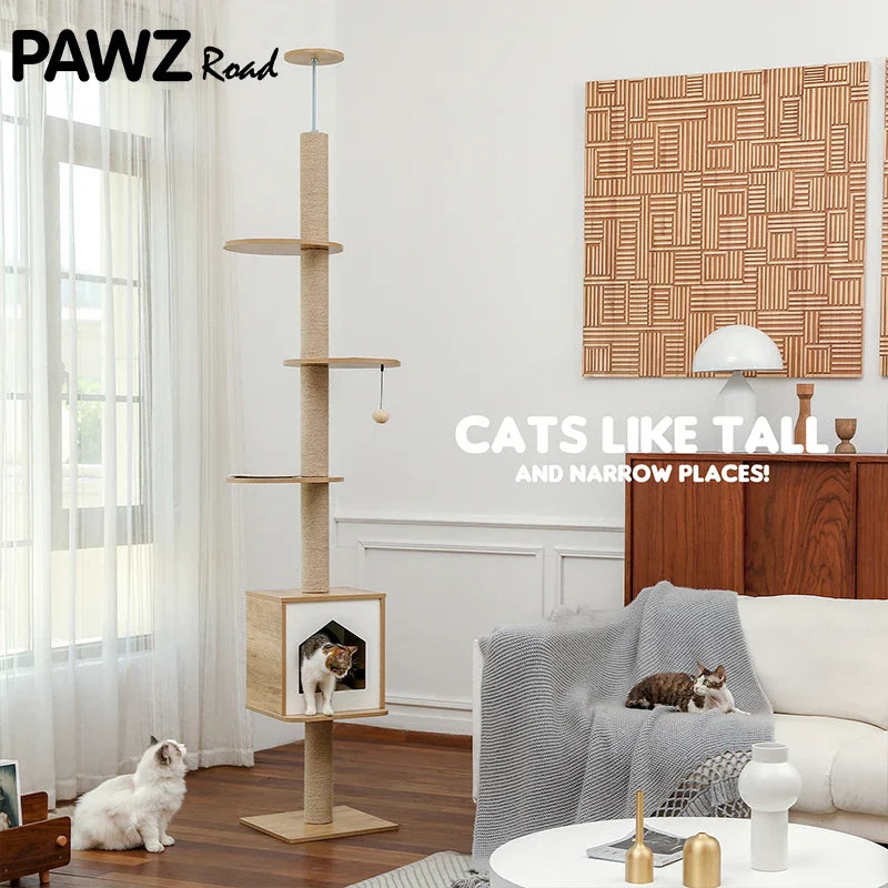 Arbre à Chat Minimaliste avec Niche Triangulaire et Plates-Formes Ajustées