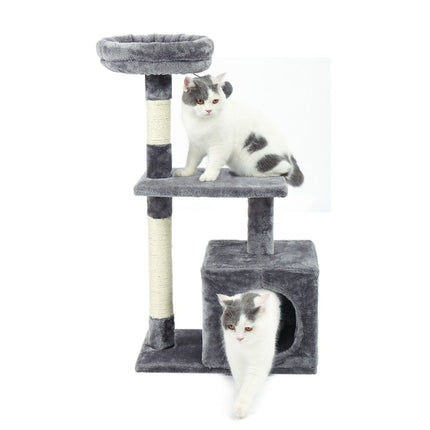 Arbre pour Chat Compact avec Cube et Plateformes Multiniveaux