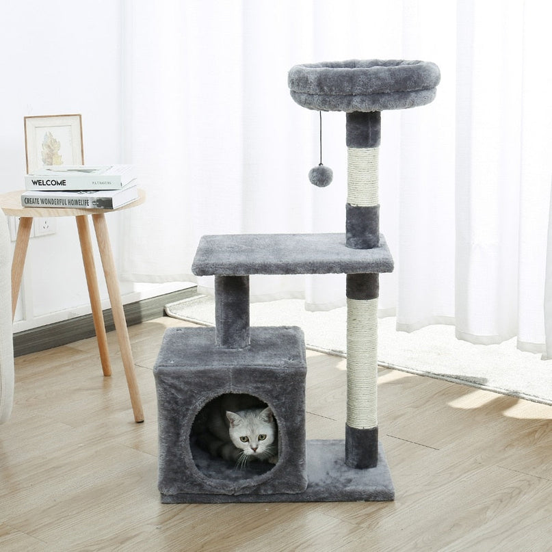 Arbre pour Chat Compact avec Cube et Plateformes Multiniveaux