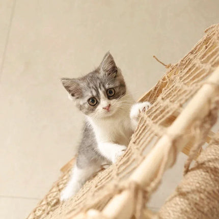 Aire de Jeux en Bois pour Chats avec Hamac et Griffoirs