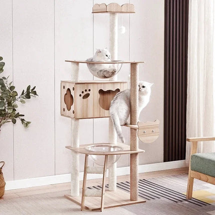 Arbre à Chat Compact avec Niche et Accessoires Intégrés