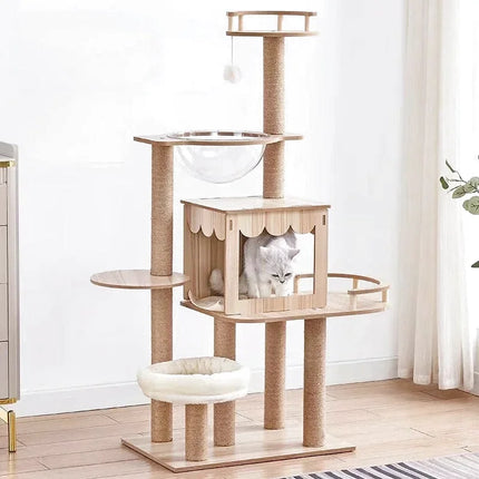 Arbre à Chat Compact avec Niche et Accessoires Intégrés