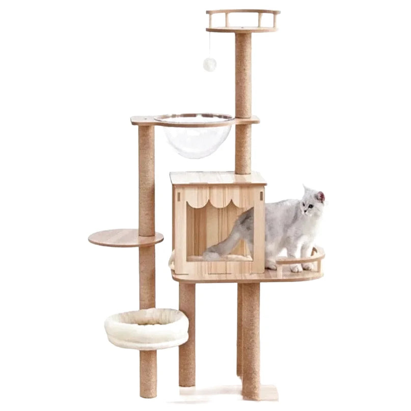 Arbre à Chat Compact avec Niche et Accessoires Intégrés