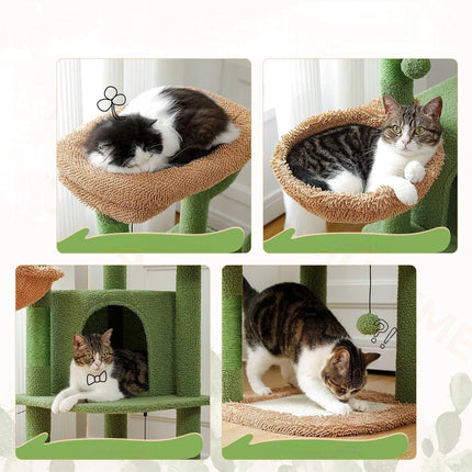 Arbre de Jeu Vert et Beige avec Cabane et Niveaux Ludiques pour Chats