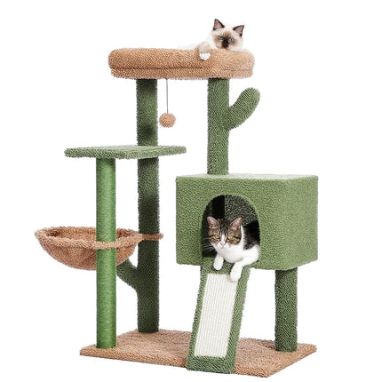 Structure ludique multi-niveaux pour chat – Tendance nature
