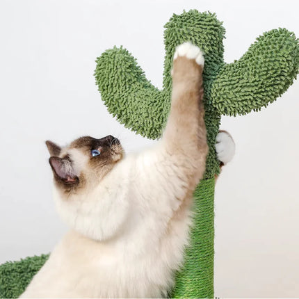 Arbre à Chat Cactus Ludique et Original