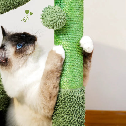 Arbre à Chat Cactus Ludique et Original