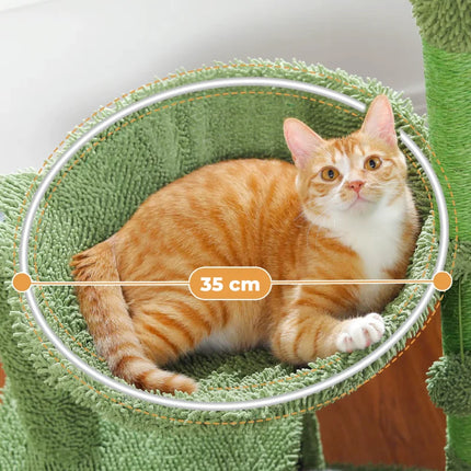 Arbre à Chat Cactus Ludique et Original