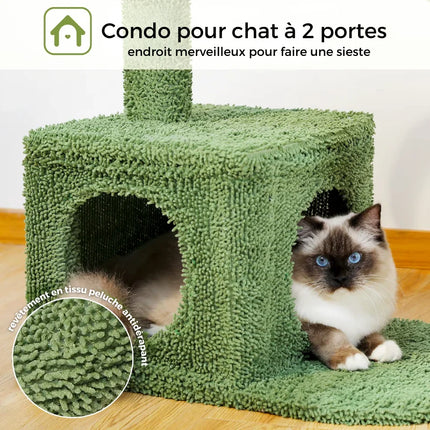 Arbre à Chat Cactus Ludique et Original