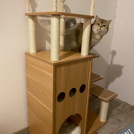 Tour de jeu et d'observation pour chat avec niveaux interactifs