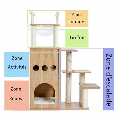 Tour de jeu et d'observation pour chat avec niveaux interactifs