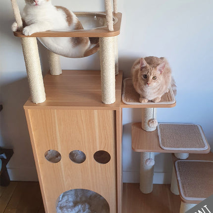 Tour de jeu et d'observation pour chat avec niveaux interactifs