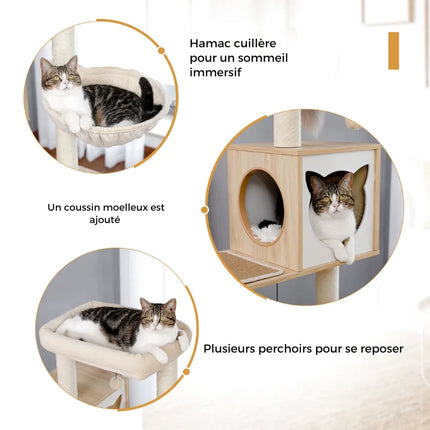 Arbre modulable pour chats avec espaces de repos et griffoirs