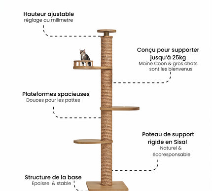 Arbre modulable pour chats avec plateformes et espaces d'observation