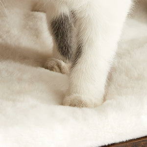 Arbre à Chat Minimaliste avec Cube Cachette et Griffoir