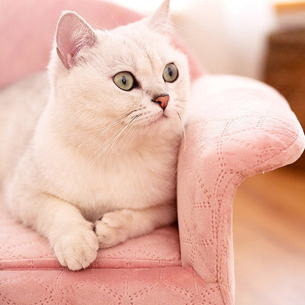 Petit fauteuil rose pour chat avec dossier arrondi et pieds en bois