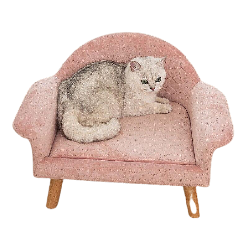 Petit fauteuil rose pour chat avec dossier arrondi et pieds en bois