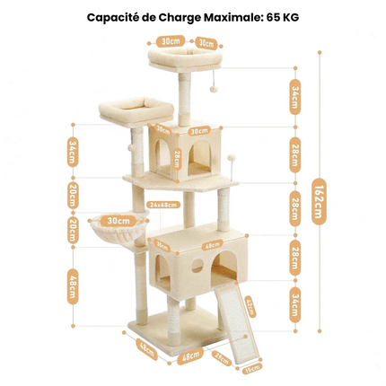 Aire de Jeu Tout-en-Un pour Chats avec Plateformes et Niches