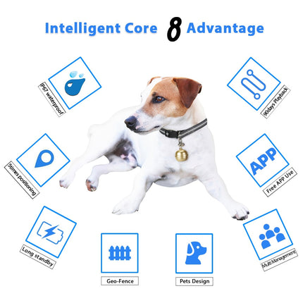 Collier GPS Intégré avec Cloche Amovible pour Animaux