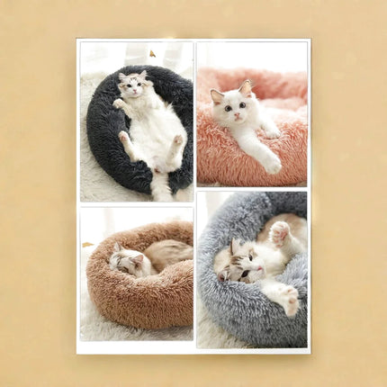 Lit Rond Moelleux et Cosy pour Chat – Design Minimaliste