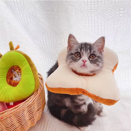 Collerette Toast Mignonne pour Chat - Accessoire Original