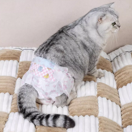 Couches pour Chat Rayé - Motifs Enfantins