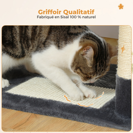 Grand Arbre pour Chats avec Hamacs et Griffoirs