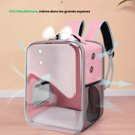 Sac à dos pour chats avec fenêtre transparente – Pratique pour voyages ou sorties