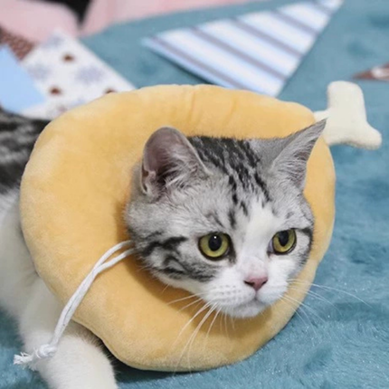 Collerette Amusante en Forme d'Os pour Chat