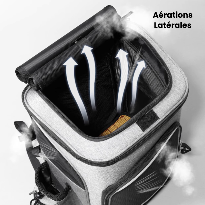 Description du média