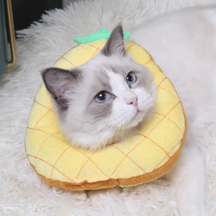 Collerette Ananas pour Chat - Accessoire Original et Mignon