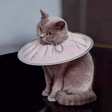 Collerette Théâtrale Plissée pour Chat