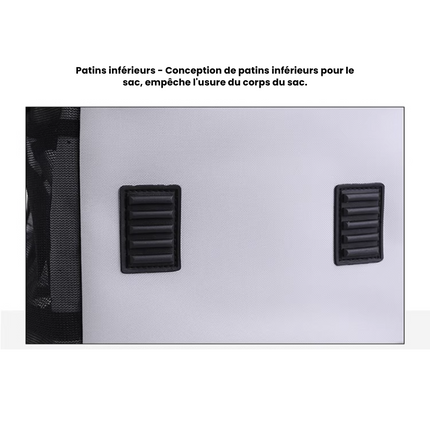 Sac à dos pour chats avec fenêtre transparente – Pratique pour voyages ou sorties