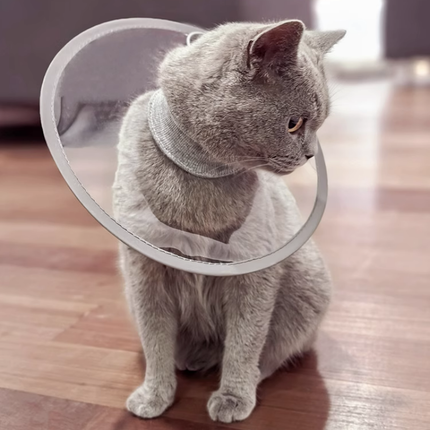 Collerette minimaliste ajustable pour chats