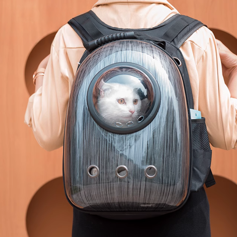 Sac à dos rigide pour transport de chats avec fenêtre panoramique
