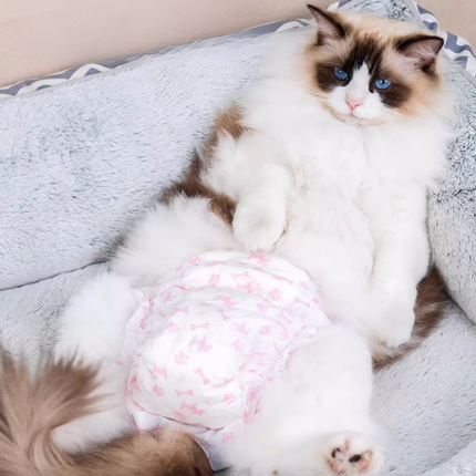 Couches pour Chat Rayé - Motifs Enfantins