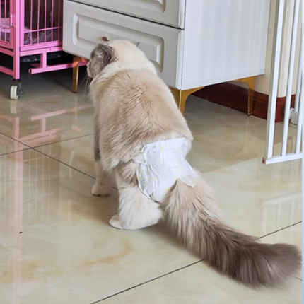 Couches Bébé Souples 360° Taille Élastique avec Motif Fleurs Jaunes