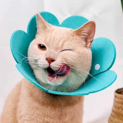 Collerette Fleur Rose pour Chat | Design Ludique et Pratique