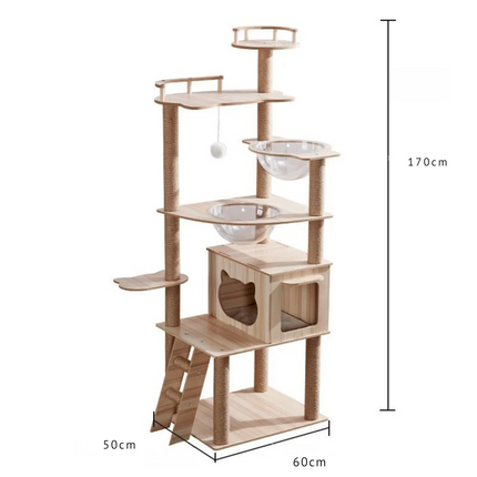 Arbre à chat design avec plateformes, niches acryliques et poteaux à griffer