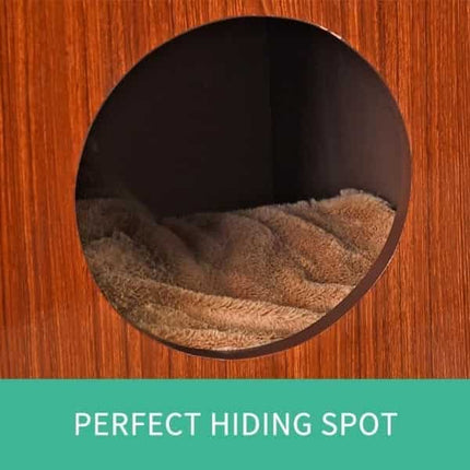 Cube Moderne pour Chat avec Coussin et Griffoir