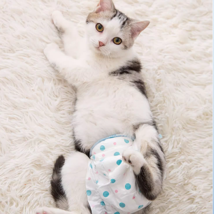 Couches pour Chat Motif Coloré | Confort et Protection