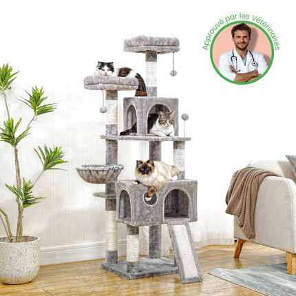 Arbre à Chat Moderne avec Plateformes Multiples et Niches