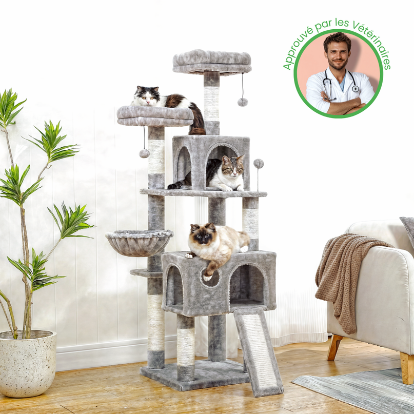 Arbre à Chat Moderne avec Plateformes Multiples et Niches