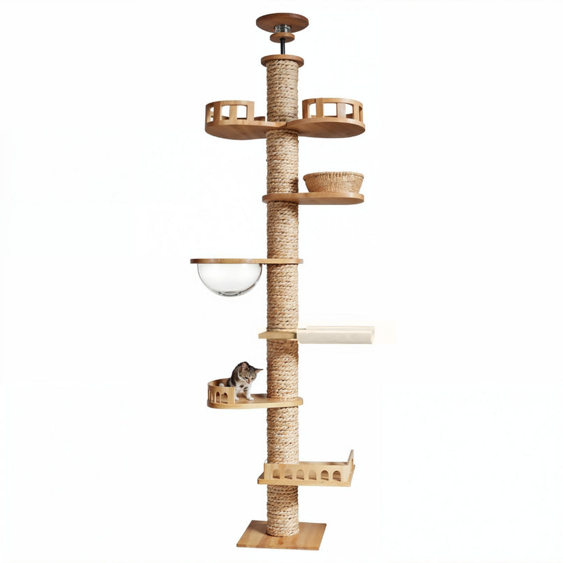 hoto de couverture d’un arbre à chat en bois XXL au design modulaire, avec capsule transparente, plateformes spacieuses, hamac doux et base renforcée. Conçu pour chats actifs recherchant confort, jeu et observation en hauteur, avec structure robuste et esthétique moderne.