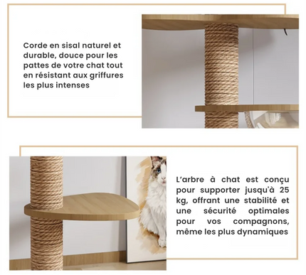 Colonne interactive pour chats avec plateformes design et bulle d'observation