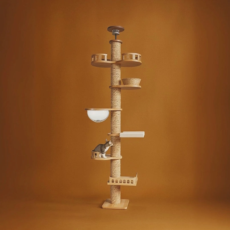 Colonne interactive pour chats avec plateformes design et bulle d'observation